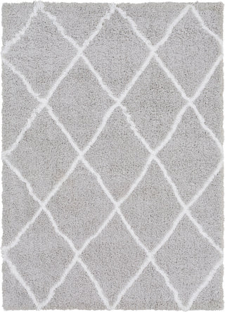 Surya Urban Shag USG-2306 Light Gray White Area Rug Mirror main image