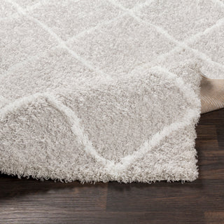 Surya Urban Shag USG-2306 Area Rug 