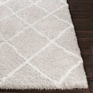 Surya Urban Shag USG-2306 Area Rug 