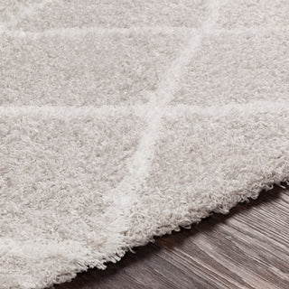 Surya Urban Shag USG-2306 Area Rug Detail