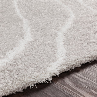 Surya Urban Shag USG-2308 Area Rug Detail