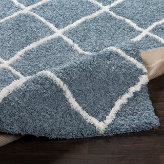 Surya Urban Shag USG-2309 Area Rug 