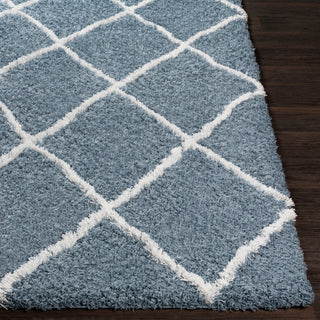 Surya Urban Shag USG-2309 Area Rug 