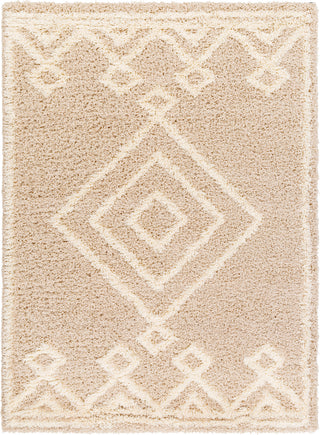 Surya Urban Shag USG-2312 Area Rug main image