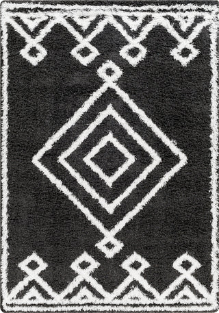 Surya Urban Shag USG-2313 Area Rug main image