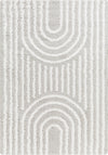 Surya Urban Shag USG-2314 Area Rug main image