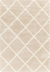 Surya Urban Shag USG-2319 Area Rug main image