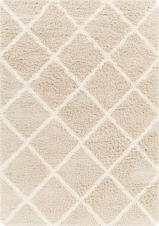 Surya Urban Shag USG-2319 Area Rug main image