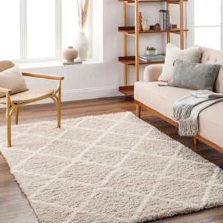 Surya Urban Shag USG-2319 Area Rug Room Scene Feature