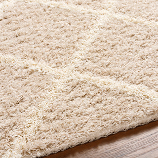 Surya Urban Shag USG-2319 Area Rug Detail