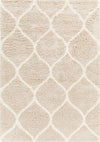 Surya Urban Shag USG-2320 Area Rug main image