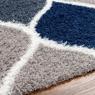 Surya Urban Shag USG-2321 Area Rug Detail