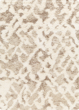 Surya Urban Shag USG-2323 Area Rug main image