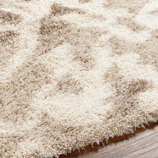 Surya Urban Shag USG-2323 Area Rug Detail