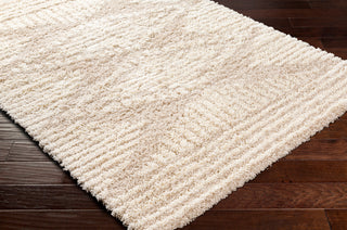 Surya Urban Shag USG-2326 Area Rug Corner Shot