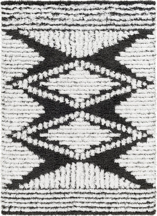 Surya Urban Shag USG-2329 Area Rug main image