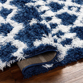 Surya Urban Shag USG-2341 Area Rug Pile