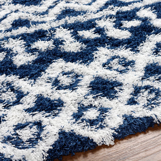 Surya Urban Shag USG-2341 Area Rug Detail