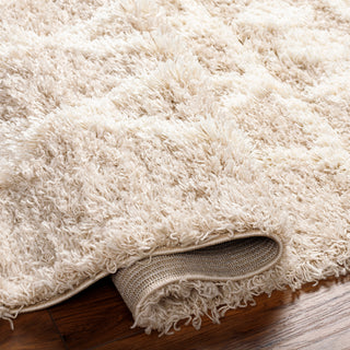 Surya Urban Shag USG-2345 Area Rug Pile