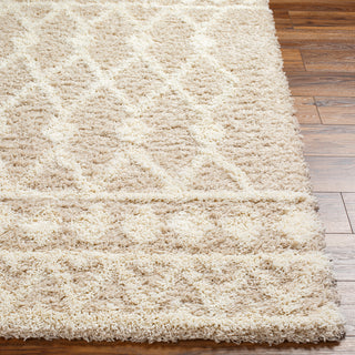 Surya Urban Shag USG-2345 Area Rug Angle