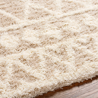 Surya Urban Shag USG-2345 Area Rug Detail