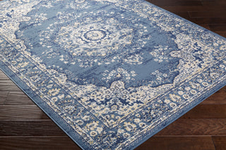 Surya Ustad UST-2302 Area Rug