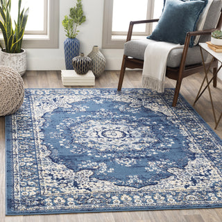 Surya Ustad UST-2302 Area Rug Room Scene Feature