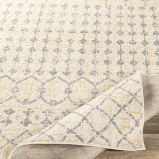 Livabliss Ustad UST-2314 Area Rug