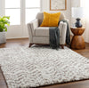 Surya Ultra Shag UTG-2306 Area Rug Room Scene Feature