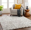 Surya Ultra Shag UTG-2306 Area Rug Room Scene Feature