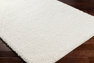 Surya Ultra shag UTG-2309 Area Rug Corner Shot