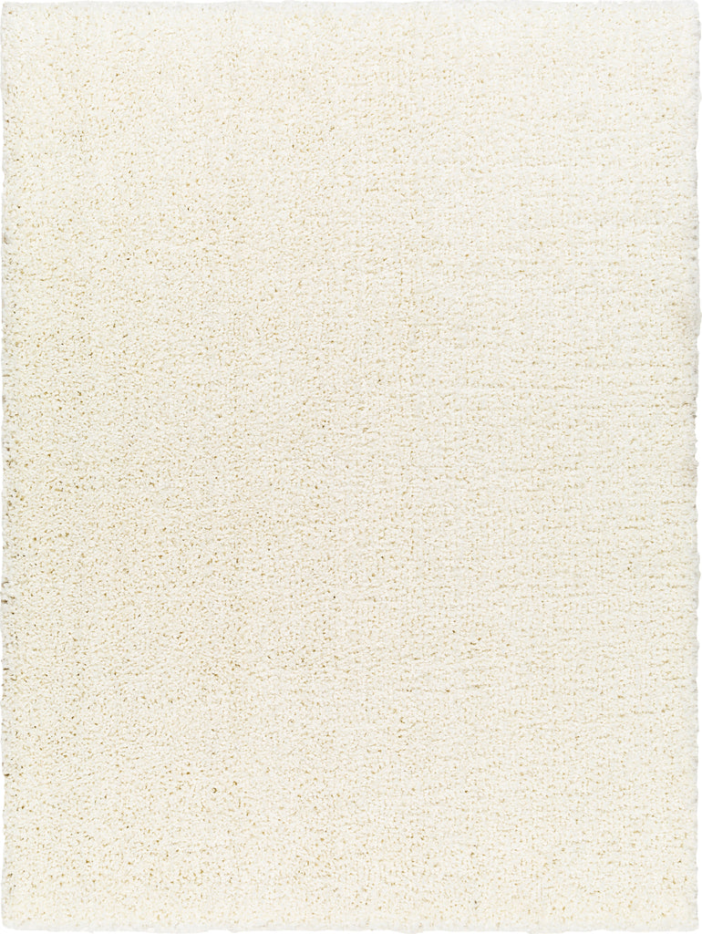 Surya Ultra shag UTG-2309 Area Rug main image