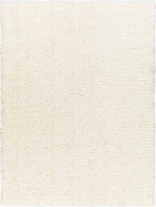 Surya Ultra shag UTG-2309 Area Rug main image