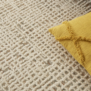 Nourison Vail VAI03 Beige/Multi Area Rug