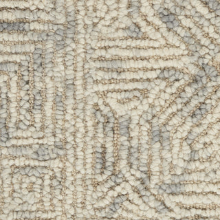 Nourison Vail VAI05 Beige/Grey Area Rug