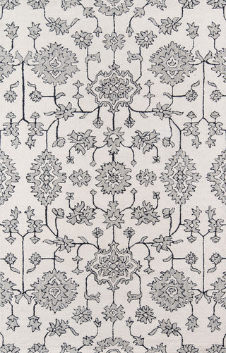 Momeni Valencia VAL-4 Ivory Area Rug main image