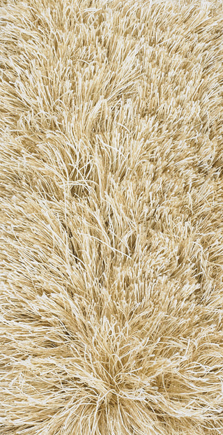 Chandra Vani VAN-13600 Beige/Cream Area Rug Close Up