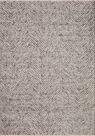 Loloi II Vance VAN-10 Taupe / Dove Area Rug main image