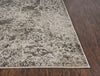 Rizzy Valencia VCA101 Beige Area Rug Detail Image