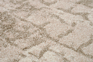 Rizzy Valencia VCA102 Beige Area Rug Detail Image