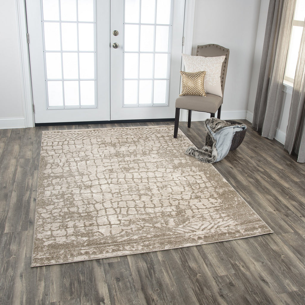 Rizzy Valencia VCA102 Beige Area Rug Style Image Feature