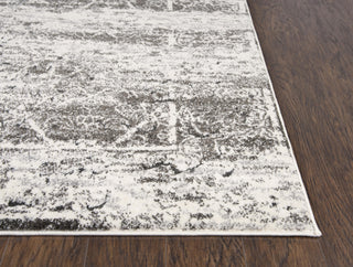 Rizzy Valencia VCA103 Ivory Area Rug Detail Image