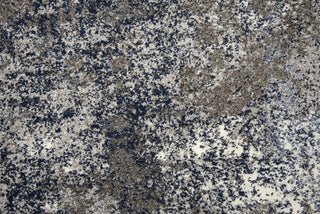 Rizzy Valencia VCA104 Silver Area Rug 