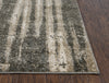 Rizzy Valencia VCA105 Beige Area Rug Detail Image