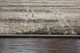 Rizzy Valencia VCA105 Beige Area Rug Style Image