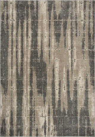 Rizzy Valencia VCA105 Beige Area Rug main image