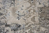 Rizzy Valencia VCA106 Beige Area Rug Style Image