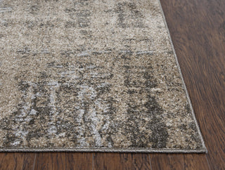 Rizzy Valencia VCA107 Beige Area Rug Detail Image