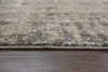 Rizzy Valencia VCA107 Beige Area Rug Style Image