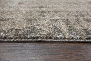 Rizzy Valencia VCA107 Beige Area Rug Style Image